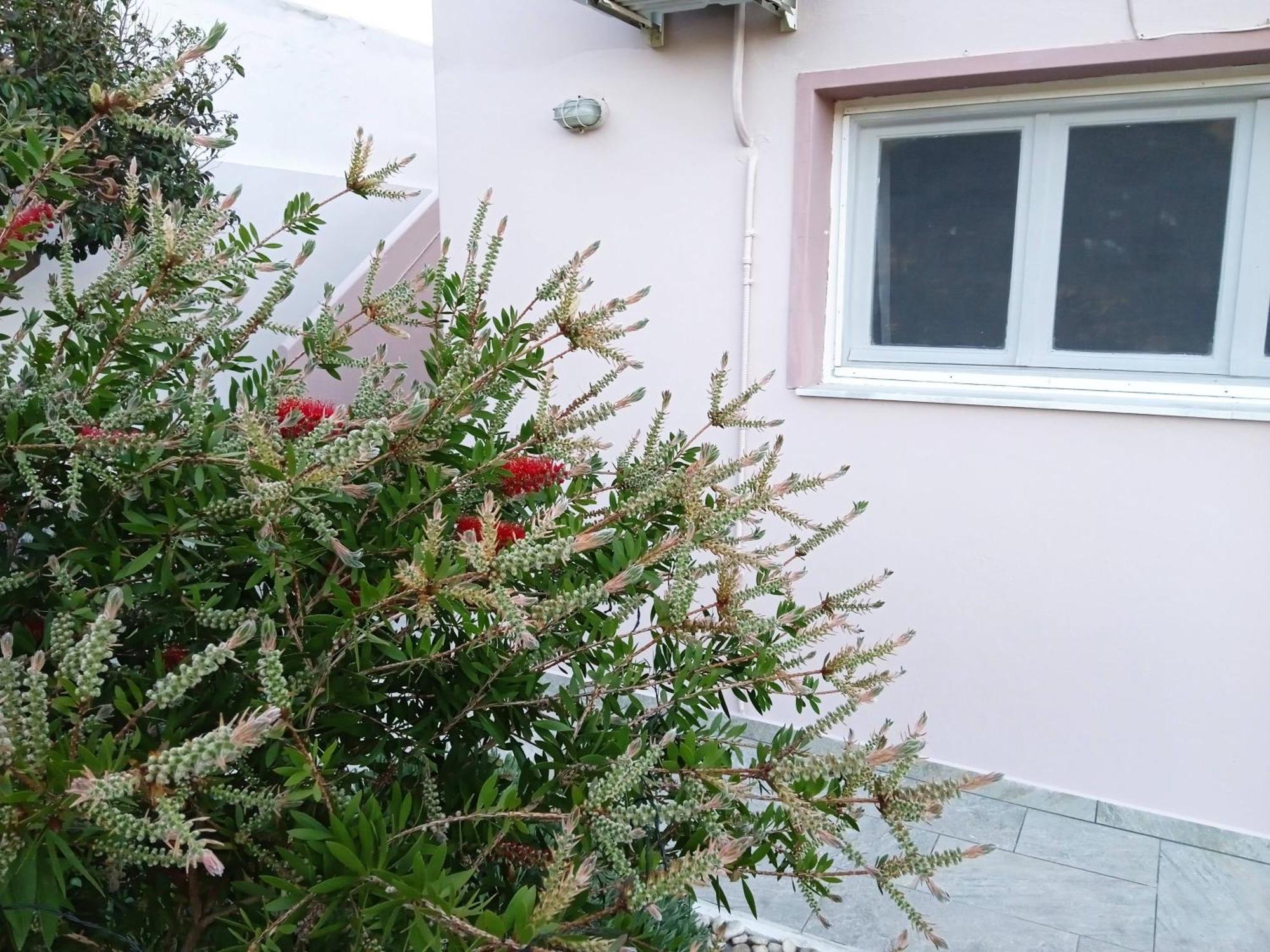 Andros Lighthouse Apartments Mesaria  Exterior foto
